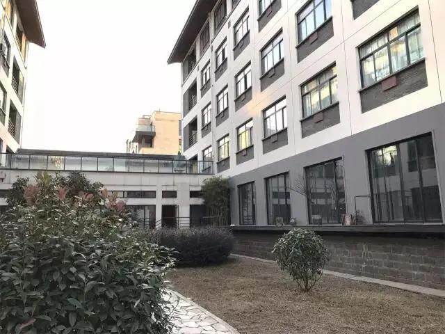 走进浙江常春藤国际高中