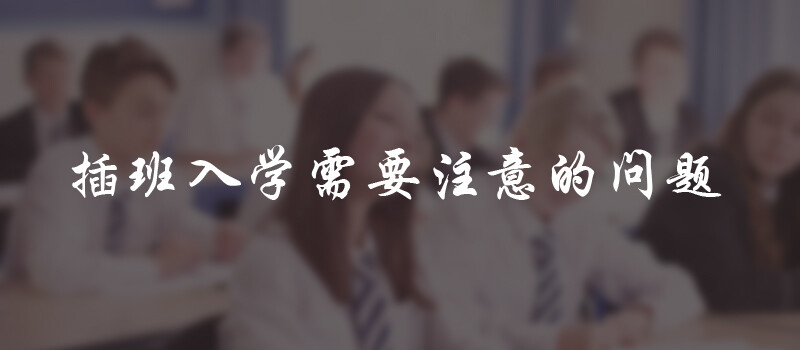 5副本
