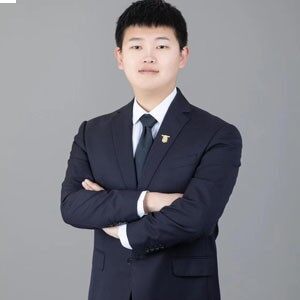 巢凤翔