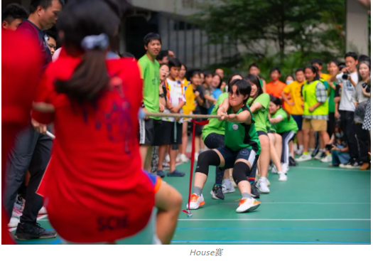 国际学校运动/竞赛/社团/夏校…课外活动挑花眼？怎么玩出高含金量？