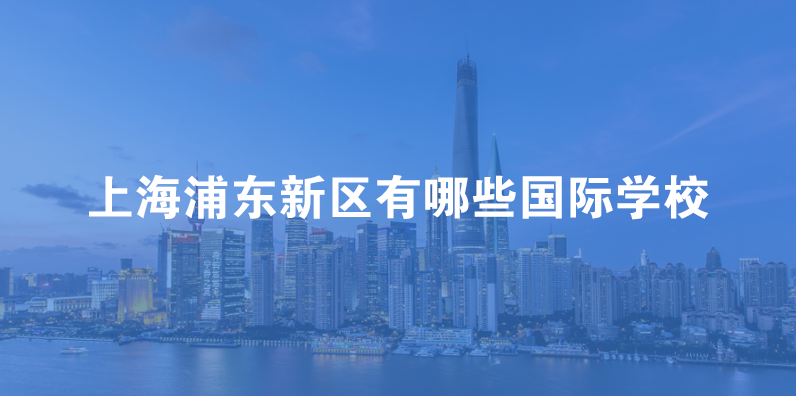 上海浦东新区有哪些国际学校？
