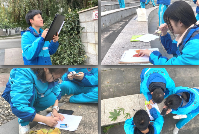 都江堰中学双语班