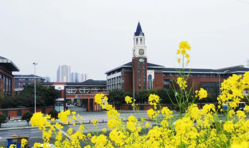 成都七中万达学校国际部招生入学