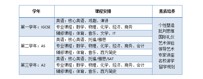 上海外国语大学立泰学院A-Level国际课程中心课程设置