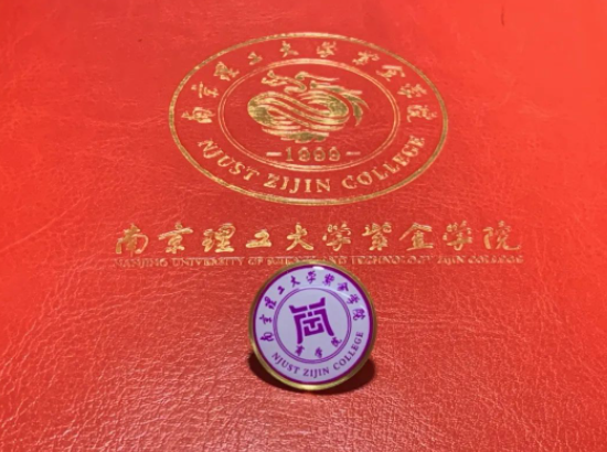 南京理工大学紫金学院