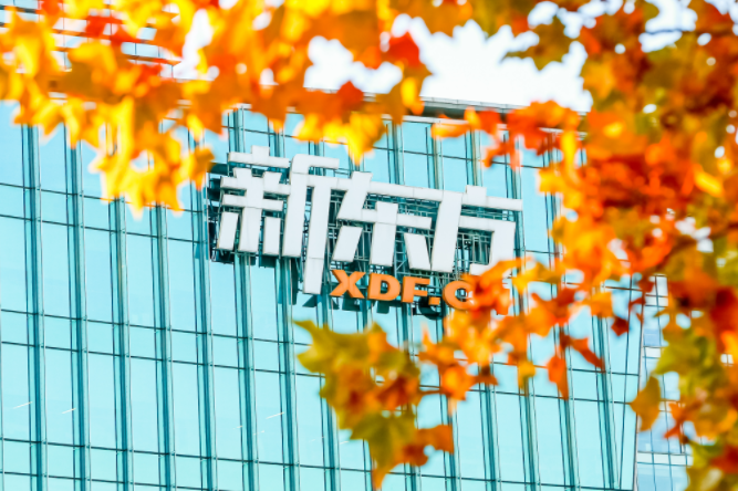 金华新东方双语学校
