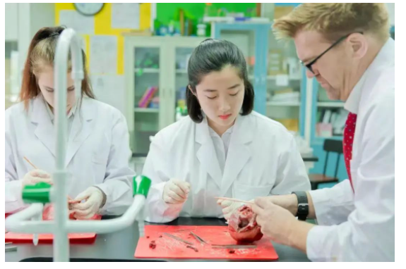 青苗学校
