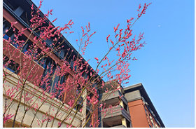 北京市世纪学校普通高中课程