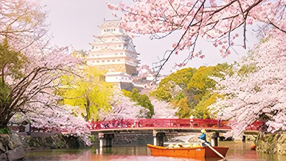 佛山辰美国际艺术学校