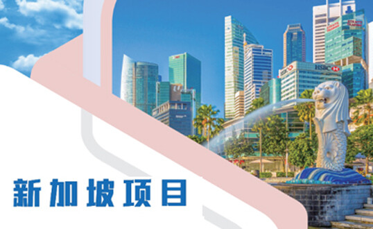 北语留服国际辰美国际高中新加坡项目招生简章