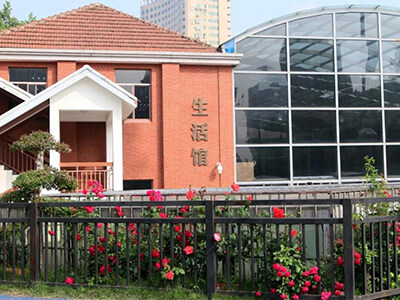 多元化的国际课程体系