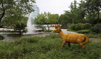 校园风采