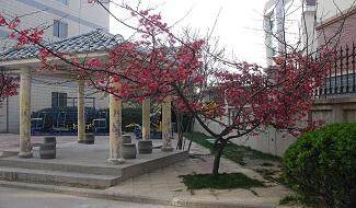 郑州中学校园风光