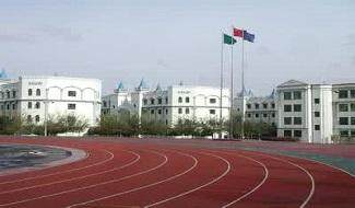 新疆大光华国际学校